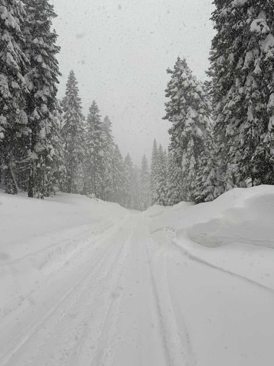 California SnowStorm california snowstorm