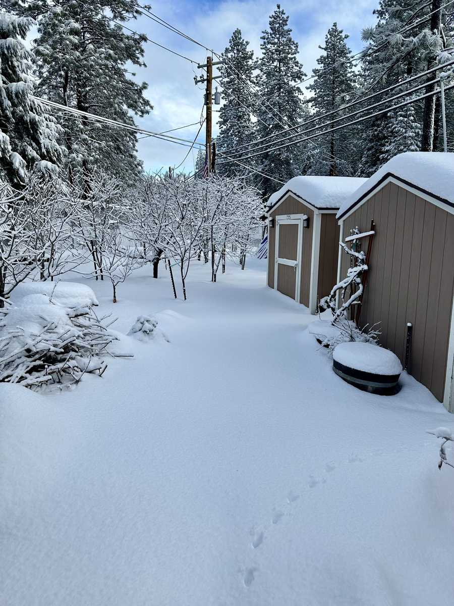 California Snow Storm California snow storm